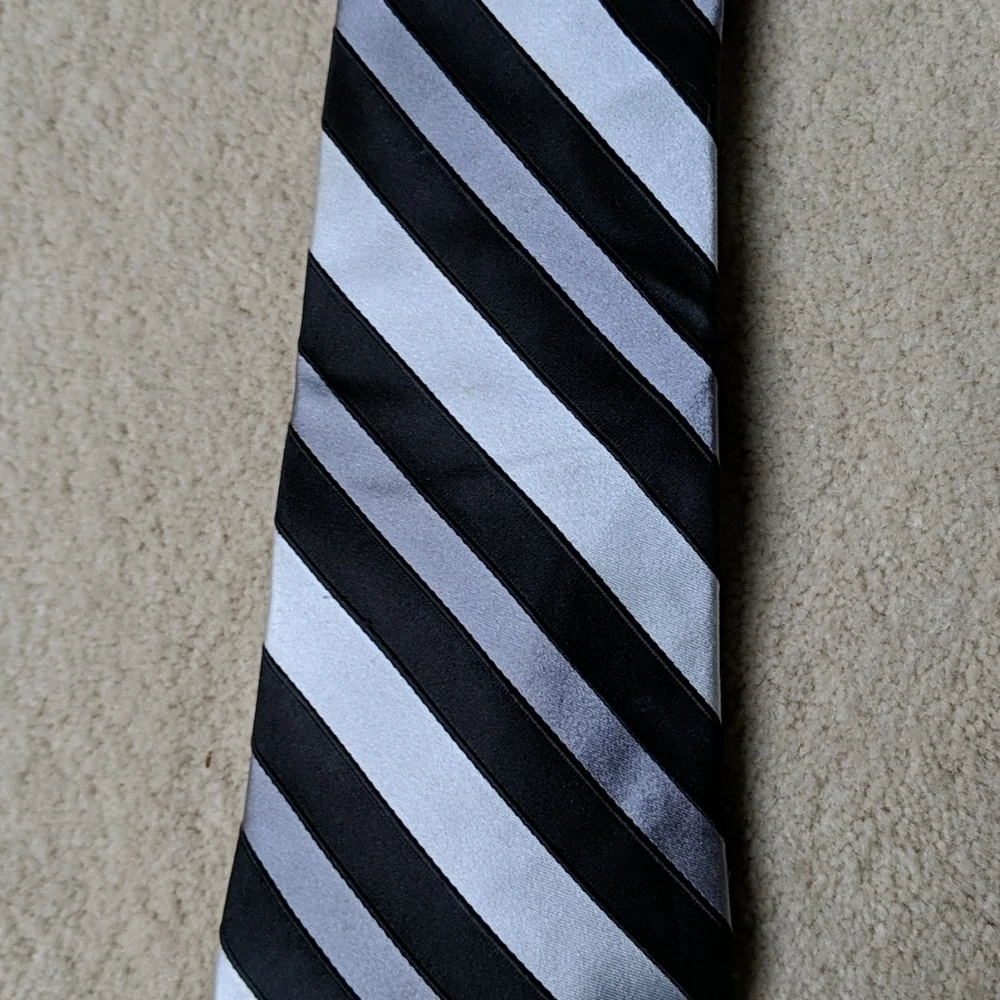 Express Men 100% Silk Tie